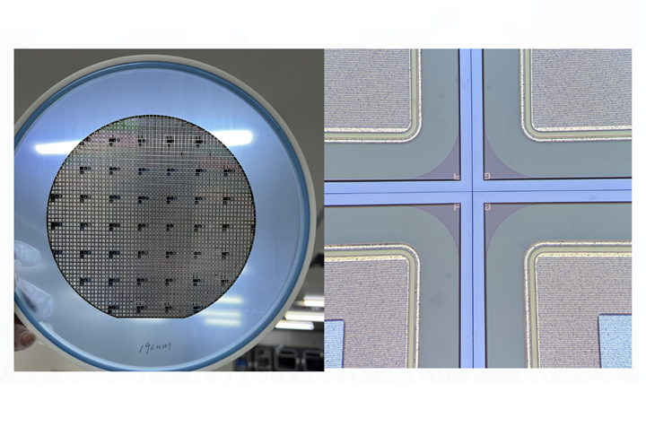 �������й���Ч��--̼������Ʒ